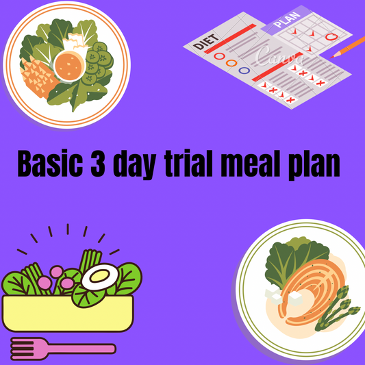 basic 3 day trial meal plan